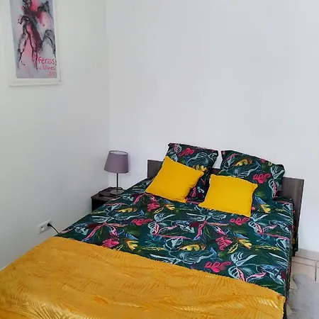 Entre Arenes Et Maison Carree P1 *